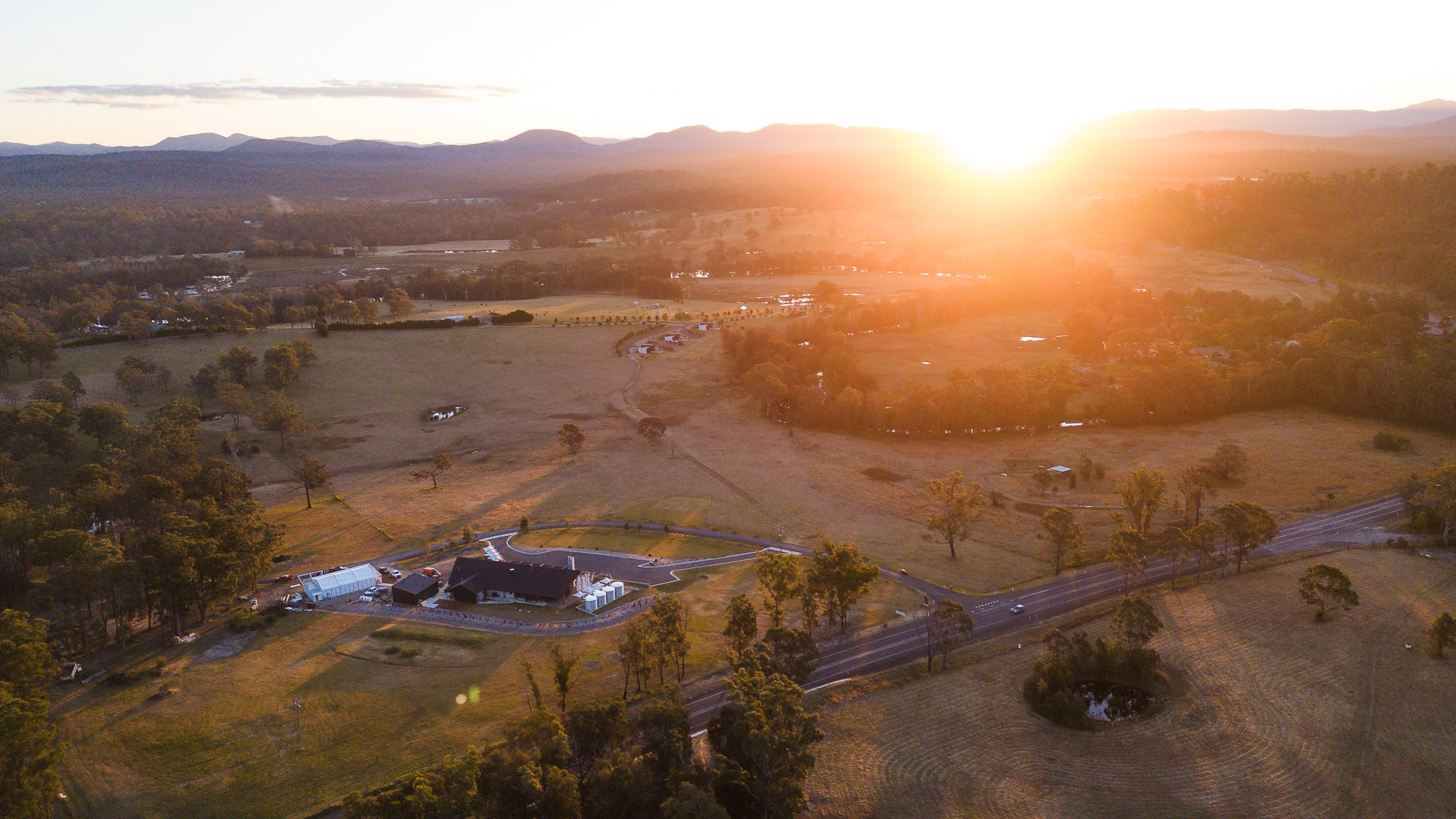 Foxdog Distillery