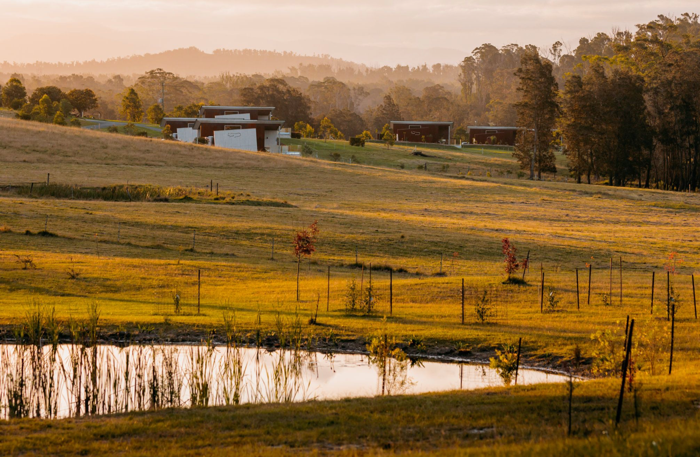 Foxdog Distillery